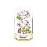 OBL10243432 - 朦胧