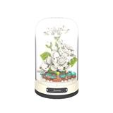 OBL10243433 - 小雀跃