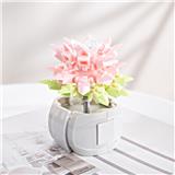 OBL10243447 - 时光旅人