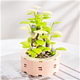 OBL10243451 - 夏日果冻