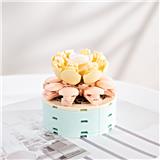 OBL10243452 - 渺渺年华