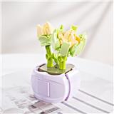 OBL10243454 - 青玉芒歌