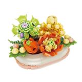 OBL10243462 - 掌心流年