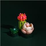 OBL10243463 - 仙遇碧桃