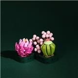 OBL10243464 - 风迎牡丹