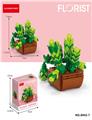 OBL10243801 - 姬星美人 138PCS