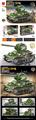 OBL10250574 - T34坦克