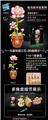OBL10253421 - 芙蓉花