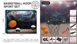 OBL10272524 - Basketball board / basketball