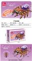 OBL10303946 - Puzzle