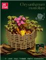 OBL10303972 - Puzzle