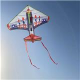 OBL10304625 - Windmill / kite