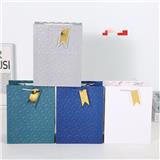 OBL10323236 - 中号压纹礼品袋