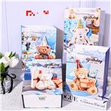 OBL10323287 - 中号3D贴片礼品袋