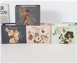 OBL10323543 - Boutique / Gift Series