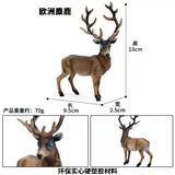 OBL10323822 - 欧洲麋鹿