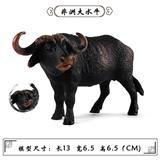 OBL10323823 - 非洲大水牛