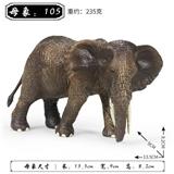 OBL10323826 - 母象