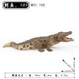 OBL10323832 - 鳄鱼