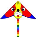 OBL10328160 - Windmill / kite