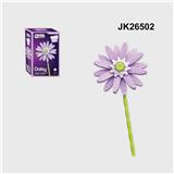 OBL10330330 - 非洲菊
