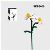 OBL10330422 - 菊花