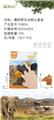 OBL10331139 - Slush / Ruanjiao Series