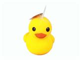 OBL10331384 - Slush / Ruanjiao Series