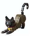 OBL10333048 - SIAMESE CAT/暹罗猫