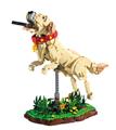 OBL10333061 - LABRADOR RETRIEVER/拉布拉多猎犬