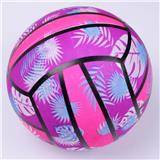 OBL10340268 - Ball games, series