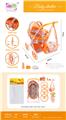 OBL10343133 - 婴儿自装EVA轮手推车+储物篮+书包+14IC寸公仔（搭配奶瓶，马桶和尿不湿）
