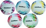 OBL10363010 - Ball games, series