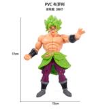 OBL10367217 - PVC 布罗利