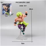 OBL10367241 - PVC支架布罗利（盒装）