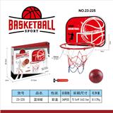 OBL10399717 - Basketball board / basketball