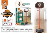 OBL10413558 - Basketball board / basketball