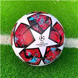 OBL10426707 - 9寸欧冠红星足球