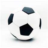 OBL10426763 - 9寸经典黑白格足球