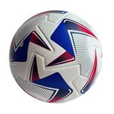 OBL10429119 - 2024美洲杯蓝贴皮足球football