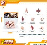 OBL10433878 - Animaltoys