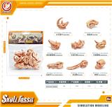 OBL10433897 - Animaltoys