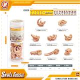 OBL10433945 - Animaltoys