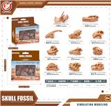 OBL10433989 - 恐龙头骨套装