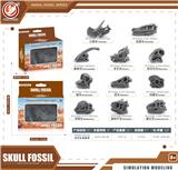 OBL10433990 - 恐龙头骨套装