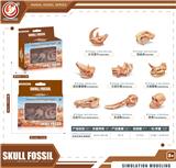 OBL10433992 - 史前动物头骨套装
