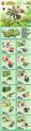 OBL10434748 - Puzzle