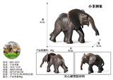 OBL10436000 - 小非洲象