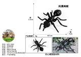 OBL10436016 - 纯黑蚂蚁