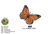 OBL10436026 - 蝴蝶-单只